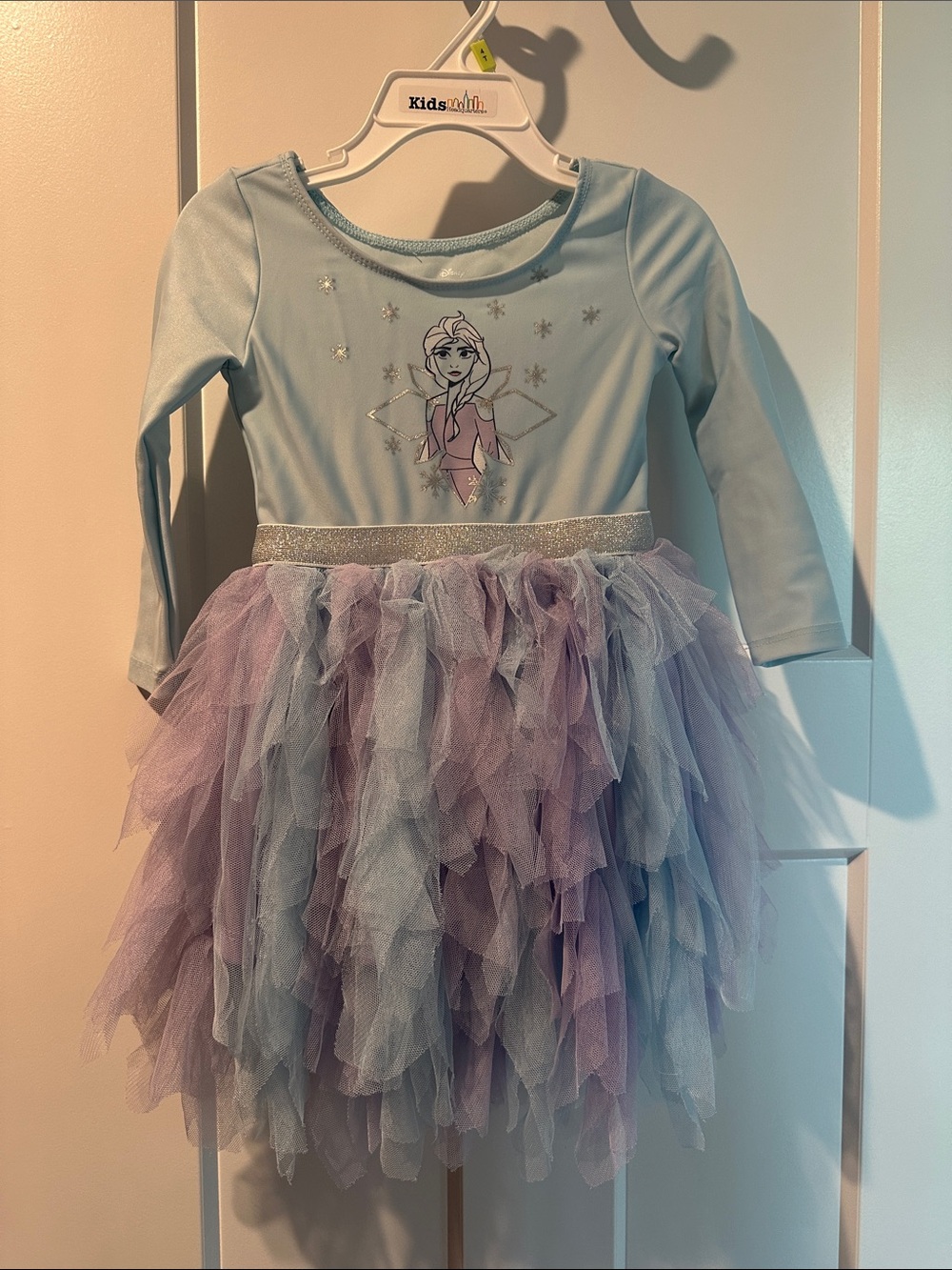 Disney Light Blue & Lavender Tulle Princess Costume Dress